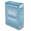 DiskPulse Box